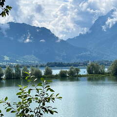 22-07-05 11-47-25 1390